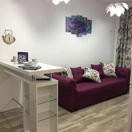 アパート Alemareea Apartament ナボダリ