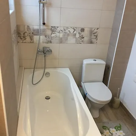 Alemareea Apartament ナボダリ